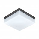 Wall / Ceiling Light Plastic Anthracite / Plastic White - SONELLA