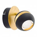 Spot Steel Black, Gold - NOCITO