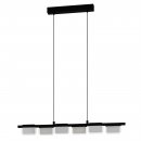 Pendant Light Steel Black / Plastic Satined, Clear - ERVIDEL