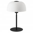 Table Light Steel Black / Glass Etched White - SOLO 2