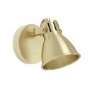 Spot Steel Brushed Brass, Gold - SERAS