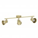 Spot Steel Brushed Brass, Gold - SERAS