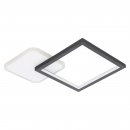 Ceiling Light Aluminium, Steel Black, White / Plastic White - GAFARES