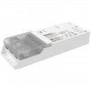 Standard 3W Universal Emergency Module UEM