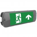 Mulu Self-Test IP65 LED Emergency Exit Sign Bulkhead, Black