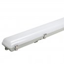 20W Dura LED Anti Corrosive Batten - 4000K, Double Emergency 600mm (2ft)