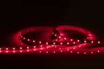 24V IP20 LED Flex Red (50 metres)