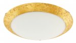 Wall / Ceiling Light Steel White / Glass White, Gold - MONTENOVO