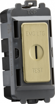 20AX DP key module (marked EMG LTG TEST) - brushed brass