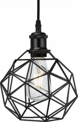 Pendant Cage - Matt Black