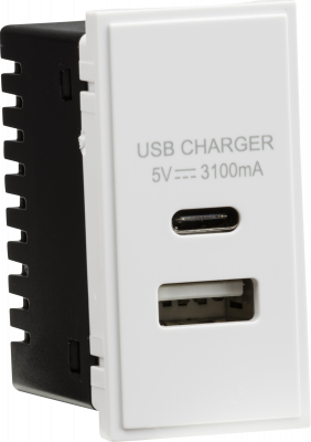 Dual USB Charger (3.1A) Module 25 x 50mm - White