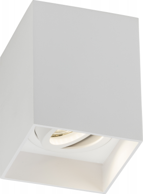 Oran Surface Tilt Square Downlight White