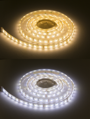 24V IP68 CCT LED Flex (5 metres)