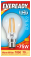 Eveready LED Filament GLS B22 (BC) 1,050lm 8W B22 (BC) 2,700K (Warm White), Box Of 1