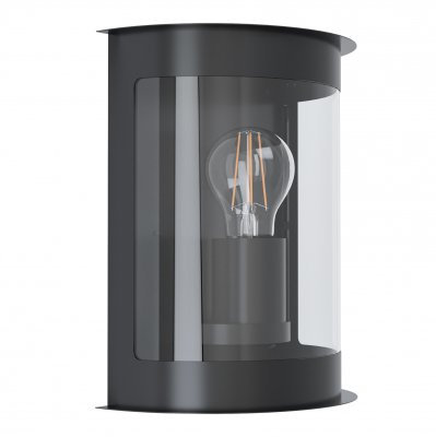 Wall Light Zinc-plated Steel Black / Plastic Transparent - DARIL 1