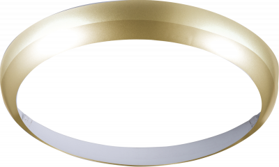 Matt Brass Bezel for 24W LED Bulkhead 400mm