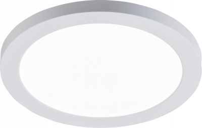 230V 18W CCT Adj Circular LED Panel- 217mm