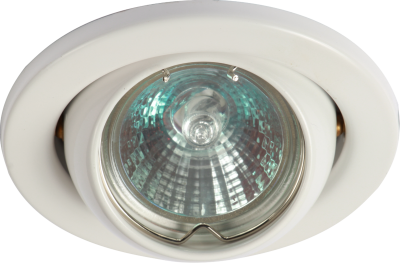 IP20 12V 50W max. L/V White Eyeball Downlight with Bridge