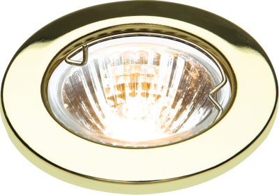 IP20 12V 50W max. L/V Brass Downlight with Bridge