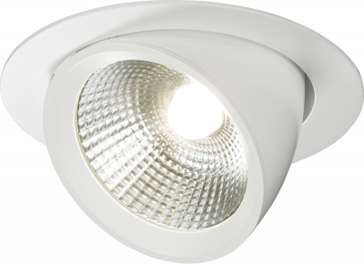 230V 40W Round LED Recessed Adjustable Downlight