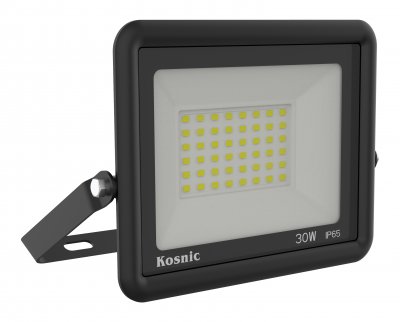 Rhine II 30W LED Floodlight, 4000K