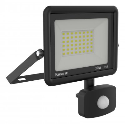 Rhine II 30W LED Floodlight With PIR, 3000K