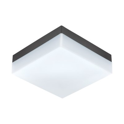 Wall / Ceiling Light Plastic Anthracite / Plastic White - SONELLA