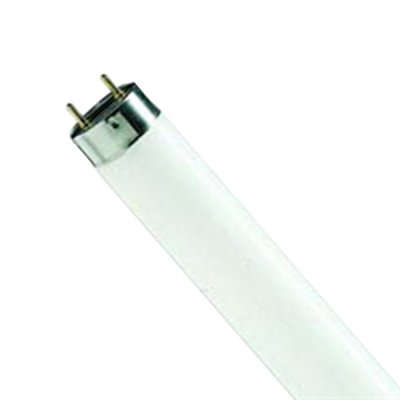 Philips 70W 6ft (1800mm) Triphosphor Tube 840