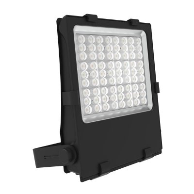 Havasu Floodlight, LED Asymmetric 50Deg