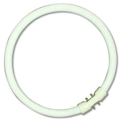 40W T5 Circular Tube - 2GX13, 4000K