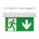 Doxa Self-Test Exit Sign With Multiple Mounting Positions, Down Legend