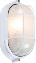 230V IP54 60W White Oval Bulkhead with Wire Guard and Glass Diffuser